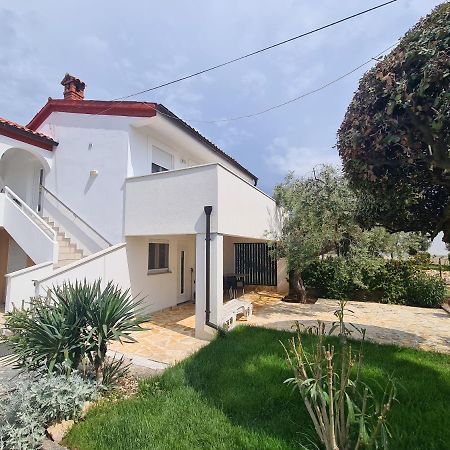Apartments Buskulic Petrčane Zewnętrze zdjęcie